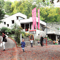 thumbnail Unifying the gastronomy concept at the rheinfalls