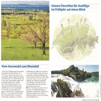 Vom Auenwald zum Rheinfall