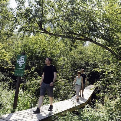 Biologiche Vielfalt im Weinland                   