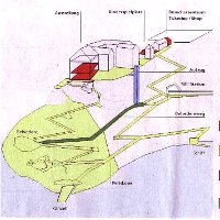 thumbnail Lift, Belvedere path and free parking    