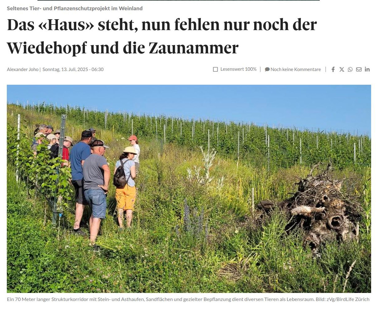 thumbnail Birdlife project in Uhwiesen