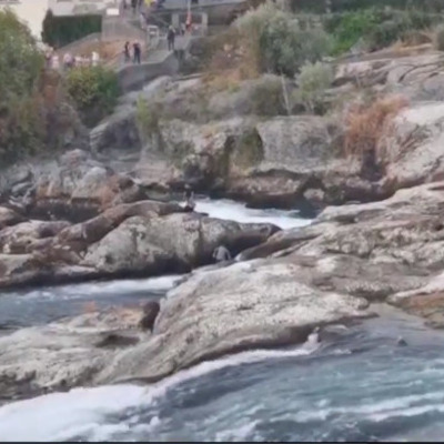 thumbnail Climbing over the Rheinfalls