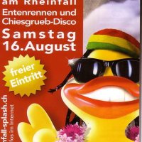Splash 08, Summer party am Rheinfall