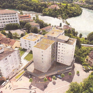 Der Rheinfall als Projekt
