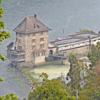 thumbnail New Congo creek at the rheinfalls