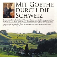 Goethe am Rheinfall