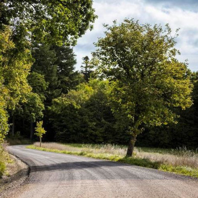 Asphaltschicht auf dem Randen
